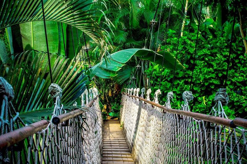 Inkaterra Reserva Amazonica