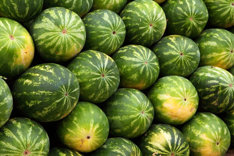 Farm-to-Table Experience
